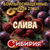 БОЙЛЫ ОСНАЩЁННЫЕ НИТКОЙ СИБИРИЯ 10мм (упак 25шт) 95354